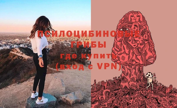 первитин Заволжье