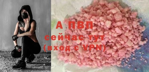 ECSTASY Архангельск