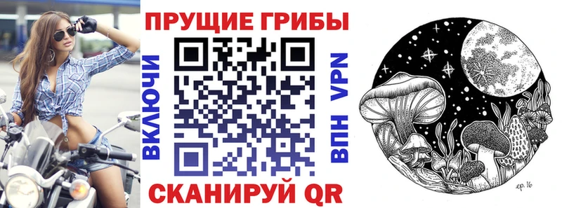 Псилоцибиновые грибы Psilocybe  OMG tor  Карабаново 